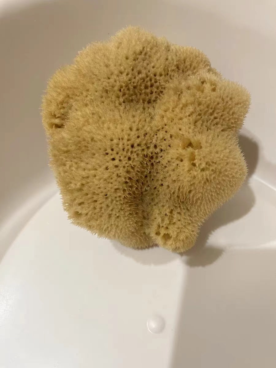 Greek sponge